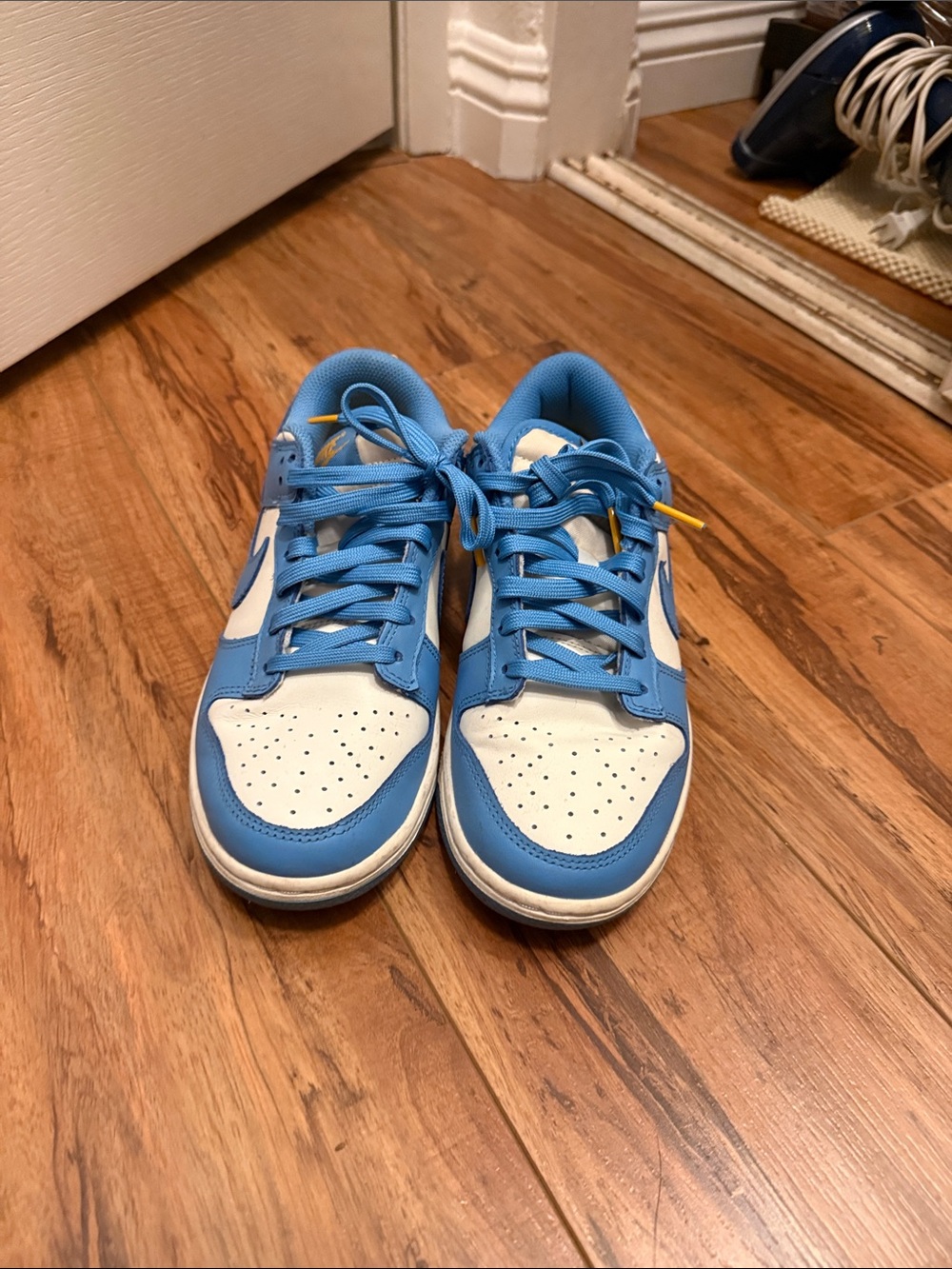Nike Dunks